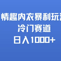情趣内衣玩法，冷门赛道，日入1000+