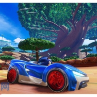 【网单服务端】团队索尼克赛车PC端赛车类游戏单机服务端