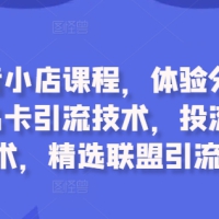 最新抖音小店课程，体验分拉升技术，商品卡引流技术，投流效果优化技术，精选联盟...