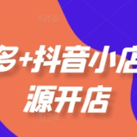 老陶电商拼多多+抖音小店无货源开店选品运营