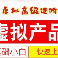 25拼多多虚拟资料高级进阶玩法，小白也能快速上手，保姆级教程