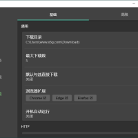 Gopeed下载器支持多协程下载v1.8.3便携版