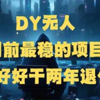 DY没有人，现阶段比较稳定项目，引流矩阵变大边旅行边挣钱，好努力工作2年离休