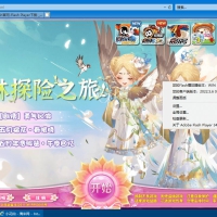 Flash Player(Flash插件) v34.0.0.325 官方版
