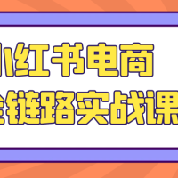 AI小红书电商5.0全链路实战课