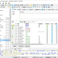 HeidiSql(数据库可视化工具)v12.16官方便携版