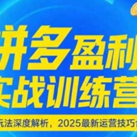 拼夕夕盈利实战训练营，强付费玩法深度解析，2025最新运营技巧合集