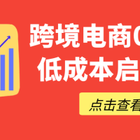 跨境电商0-1实战低成本启动市场