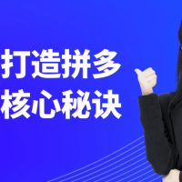 零基础打造拼多多店铺核心秘诀