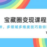 宝藏圈变现课程，每天5分钟，多领域多维度技巧助你轻松变现（189节）