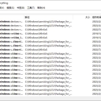 文件搜索工具Everything v1.4.1.1029 正式版