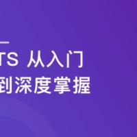TS从入门到深度掌握课 晋级TypeScript高手
