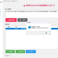 抖音解析下载工具v1.0软件+网页版一键去水印