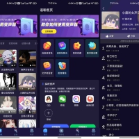 安卓语聊音频变声器 可以逗朋友玩