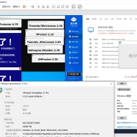 VMware 17.0.2 去虚拟化 Win10 Pro22H2 x64【过鲁大师/过强壳】