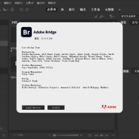 Adobe Bridge 2025 (v15.1.0.635.0)简称BR破解版