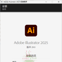 Adobe Illustrator 2025 v29.6.0.207