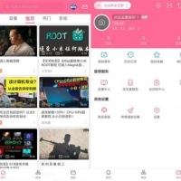 哔哩哔哩 v8.52.0 内置哔哩漫游模块版