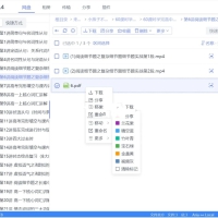 小白羊云盘(gaozhangmin) v4.0.0-beta绿化版