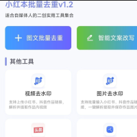 小红本批量改写v1.2