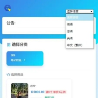 usdt多语言独角发卡网源码
