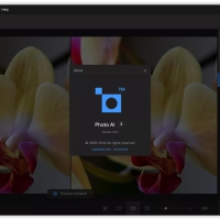 Topaz Photo AI破解版(图片降噪软件)V4.0.20