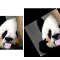 OpenCV图像旋转