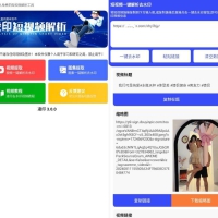 安卓凌印v4.1.0清爽版 抖快等去水印工具