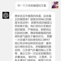 2023最新简化版ChatGPT3.5手机端源代码 实测可用