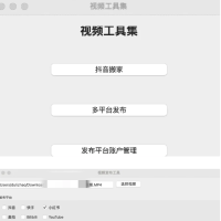 一键搬运支持多平台同步发布（TikTok、抖音、快手、油管、小红书、B站等