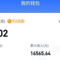适合空闲时间操作的小红书低保项目，小红薯发布笔记，单个账号每天可获得2-12元左右