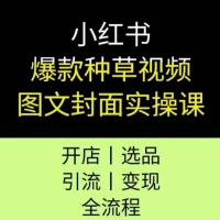 小红书爆款种草课程开店选品引流变现全流程