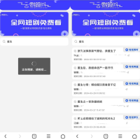 引流源码短剧搜索前端源码+内附搜索API