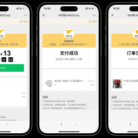美团代付可对接易支付版源码