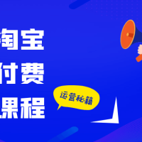 大海淘宝高阶付费推广课程