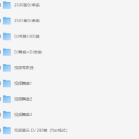 2025车载dj音乐合集