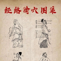 医承有道学堂 中医人必学的经络课 找准穴位