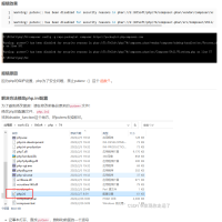 【PHP】Warning: putenv() has been disabled for security reasons in phar报错解决（保姆级图文）