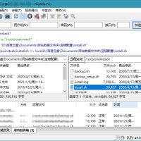FileZilla PRO开源FTPv3.69.3专业版
