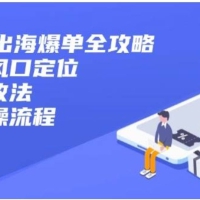 2025出海爆单全攻略：抢滩新风口定位+四步营收法+六阶实操流程