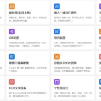 小旺AI截图 v1.1.5 支持deepseek的截图工具