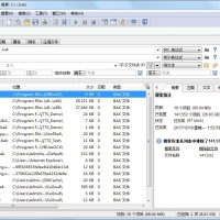 FileLocator Pro(文件搜索)v9.3.3522.1修改版