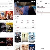 安卓大师兄影视V3.4.3 v2去广告解锁VIP会员破解版