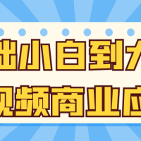 基础小白到大神ai视频商业应用