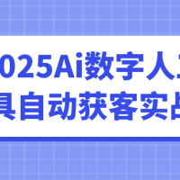 2025Ai数字人工具自动获客实战