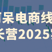 阿呆电商线上成长营2025实操