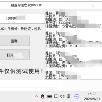 一键查询对方信息软件 新增超级接口，支持QQ，手机号，身份证号，姓名查询