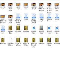 邱爷符视频+文档+资料 30集