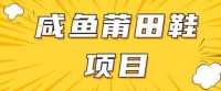闲鱼平台高转化新项目，教你如何做，日入3张 (详尽实例教程 一手货源)