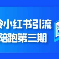 钟小玲小红书引流矩阵陪跑第三期